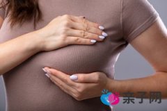 黄花菜炖鸡下奶吗