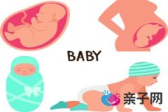 孕晚期如何加强营养