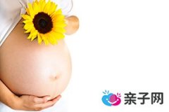 卵子受精的过程