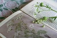 二年级孩子不爱学总想着玩怎么办
