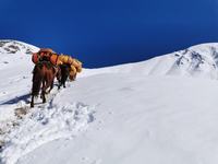 孩子看小说