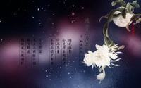 婴儿护臀霜
