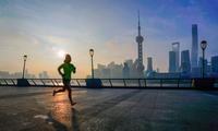 高景观婴儿推车品牌