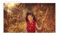 婴儿枕头装决明子好吗