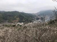 14岁女孩厌学怎么办