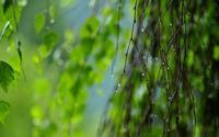 初二学生厌学爱玩手机怎么办