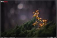 花王纸尿裤保质期