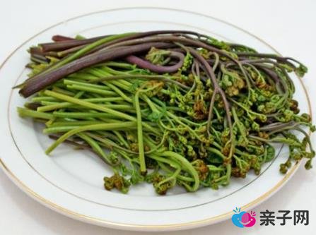 孕妇吃蕨菜有什么好处？孕妇吃蕨菜的做法